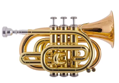 Pioneer Bb Pocket Trumpet_001