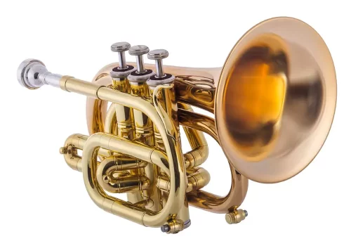 „Big Bell“ Pioneer Bb Pocket Trumpet _001